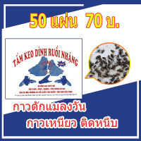 กาวดักแมลงวัน 50 แผ่น รุ่นใหม่ แผ่นกาวดักแมลงวัน กาวดักแมลงวัน กาวติดแมลง