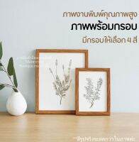 รูปภาพรวมกรอบ กระดาษ 100 ปอนด์ ภาพวาด ภาพติดผนัง ภาพพร้อมกรอบรูป งานพิมพ์คุณภาพสูง ภาพใบไม้ 4x6,5x7,8x10 มีสีกรอบให้เลือก