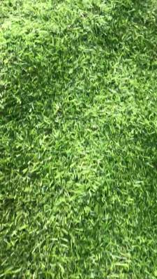 🎉🎉โปรพิเศษ หญ้าเทียม ขนยาว2cm 2.5cm 3cm เกรดA ราคาถูก หญ้า หญ้าเทียม หญ้าเทียมปูพื้น หญ้ารูซี หญ้าแต่งสวน แต่งพื้น cafe แต่งร้าน สวย ถ่ายรุป