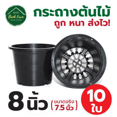 กระถาง8นิ้ว สีดำ (10ใบ) กระถางราคาถูก กระถางพลาสติก กระถางต้นไม้ l บ้านแบงค์ฟาร์ม