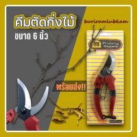 กรรไกรตัดกิ่ง 7นิ้ว Pruning กรรไกรตัดกิ่ง แบบอย่างดี ลับคมให้พร้อม กรรไกรทำสวน เครื่องมือทำสวน เครื่องมือช่าง กรรไกรสวนอเนกประสงค์ กรรไกร