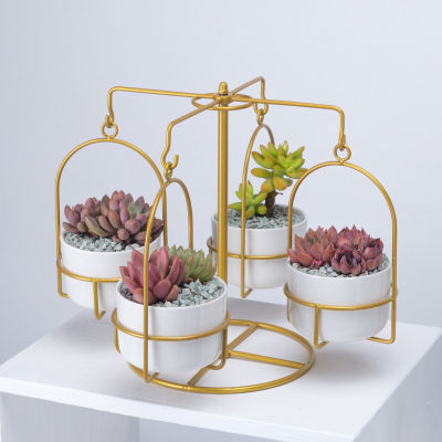 Creative Carousel Hanging Pot Flower Stand Round Ceramic Succulent Flower Pot Combination Iron Frame Set