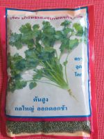 ผักชีไทยคัดพิเศษ?  ผักชีไทย  ขนาด 300 กรัม  ?  ผักหอมป้อม ?  สิ้นอายุทำพันธุ์   02  / 67 ?