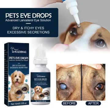 Saline for best sale dogs eyes