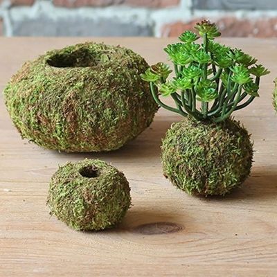 ✚∋ Eco-friendly Moss Ball Flower Pot Bird Nest Flower Green Plant Ports Home Office Desk Table Garden DIY Decoration 6/9/12/15CM