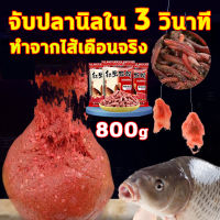 เหยื่อตกปลา 800g เหยื่อปลานิล หัวเชื้อตกปลา หัวเชื้อล่อปลา หัวเชื้อปลานิล หัวเชื้อตกปลานิล หัวเชื้อตกปลา เหยื่อตกปลาชอน หัวเชื้อตกปลากด ไฮเกรด ไส้เดือนแดง หัวเชื้อไส้เดือน เหยื่อตกปลาชิงหลิว เหยื่อชิงหลิว เยื่อตกปลานิล เหยื่อตกปลา นิล