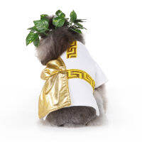 DY Loving Exotic Pet Transform Clothes Roman Toga Robe With Natural Style Leaves Hat Cloak For Shihtzu Medium Pets