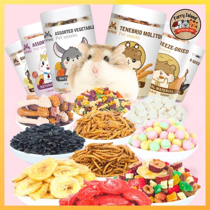 Jonsanty Assorted Flavor Hamster Treats Small Animal hamster Snack dry ...