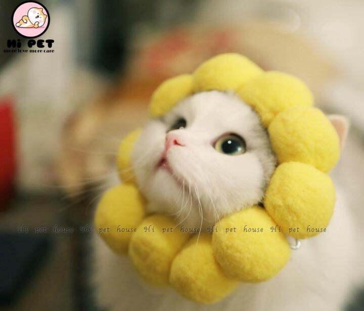 milly-house-อุปกรณ์สัตว์เลี้ยง-pet-headdress-sunflower-ดอกทานตะวันหมวกแมว-หมวกสุนัข-สร้อยคอแมว-สร้อยคอสุนัข-l-10-20