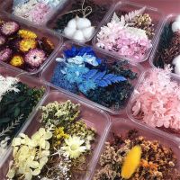 1 Box Dried Flowers Natural Colorful Plant DIY Carft Materials Birthday Gift Festival Wedding Party Decorations Household Decor