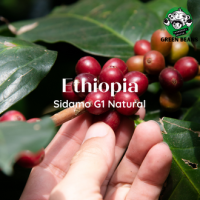 สารกาแฟดิบเอธิโอเปีย  2565 100% Ethiopia Sidamo G1 / Natural Process 1000g