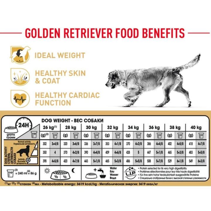royal-canin-golden-retriever-adult-dog-food-อาหารสุนัข-สำหรับสุนัขพันธุ์-โกลเด้นรีทรีฟเวอร์-อายุ-15-เดือนขึ้นไป-3-กก