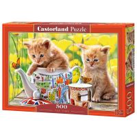 Castorland jigsaw puzzle จิ๊กซอว์นำเข้า 500 ชิ้น