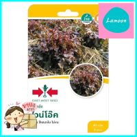 เมล็ดพันธุ์ผักสลัด ไวน์โอ๊ค ศรแดงRED OAK LETTUCE SEEDS SORNDAENG WINE OAK **จัดส่งด่วนทั่วประเทศ**