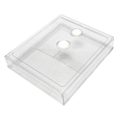 Refrigerator Dumplings Box Tray with Lid Stackable Timekeeping Freeze Storage Box Food Fresh Organizer Container