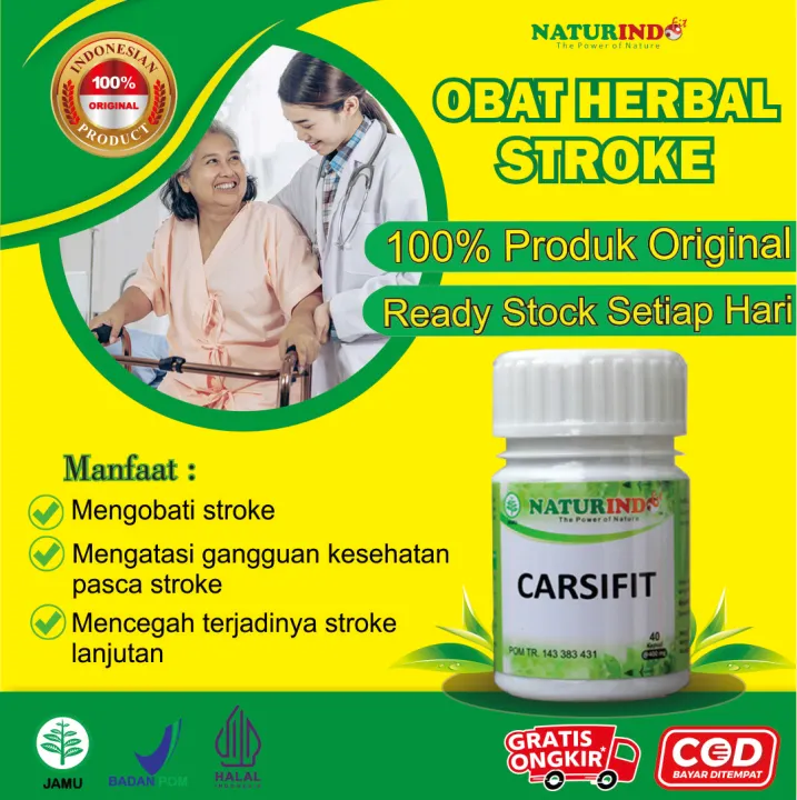 Obat Stroke Obat Struk Obat Strok Obat Lumpuh Obat Susah Jalan Herbal ...