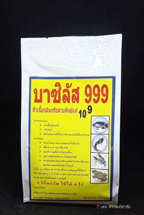 บาซิลัส-999-หัวเชื้อจุลินทรีย์สายพันธุ์แท้-1-กิโลกรัม-สำหรับสัตว์น้ำ-ปลา-กบ-กุ้ง