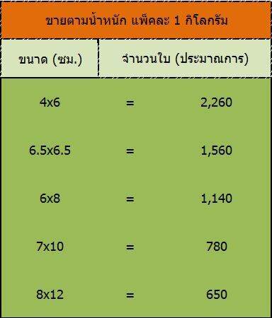 ถุงซิปล็อค-1-กก-แพ็ค-ถุงซิปใส-ถุงซิป-ถุงซิปล็อคกันน้ำ-ถุงใส่ของ-ซองซิป-ป้องกันความชื้น-ปิด-เปิดสะดวก