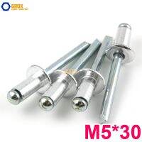 100ชิ้น M5 * 30หมุดผ้าม่านอลูมิเนียมหมุดตอกนอตหัวบานปลายเปิด