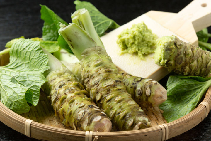 วาซาบิ-wasabi-seed-เมล็ดพันธุ์วาซาบิ-บรรจุ-20-เมล็ด-10-บาท