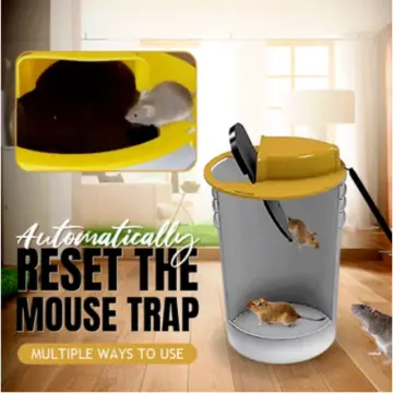 RINNE TRAPS Flip N Slide Bucket Lid Mouse Trap - Multi Catch - Runnings