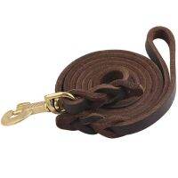 Braided Cowhide Leather Dog Leash with Copper Hook Heavy Duty Pet Dog Training Leash for Large Medium Small Dogs Pitbull Bulldog