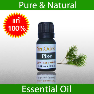 SenOdos น้ำมันหอมระเหยแท้ กลิ่นไพน (สน) น้ำมันหอมอโรม่า Aroma Pine Pure Essential Oil 10ml