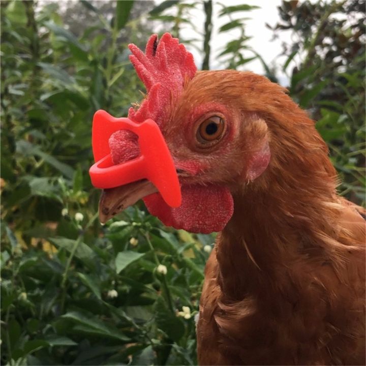 50-pcs-s-m-lplastic-chicken-glasses-farm-chicken-coop-supplies-chicken-eye-glasses-anti-pecking-glasses-poultry-supplies