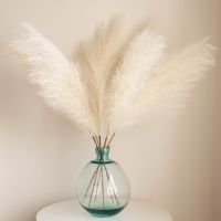 【LZ】▣  Grama Pampas artificiais para decoração de casamento flores fofas decoração boho buquês de casa e quarto arranjo floral 100cm