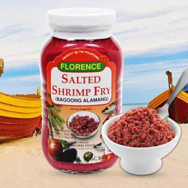 Florence Salted Shrimp Fry Bagoong Alamang 340g Lazada