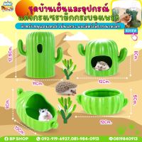 (Ratima) บ้านเย็นหนู เซต กระบองเพชร แคคตัส บ้านหนูแฮมสเตอร์ โถกระบองเพชรเซรามิค เซรามิค สำหรับแฮมสเตอร์ ดอร์เม้าส์ เม่นแ