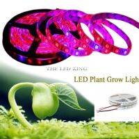 ❆◙ 5M Full Spectrum IP65 Waterproof 5050 LED Strip Flower Plant Phyto Growth Bulbs Greenhouse Supplies