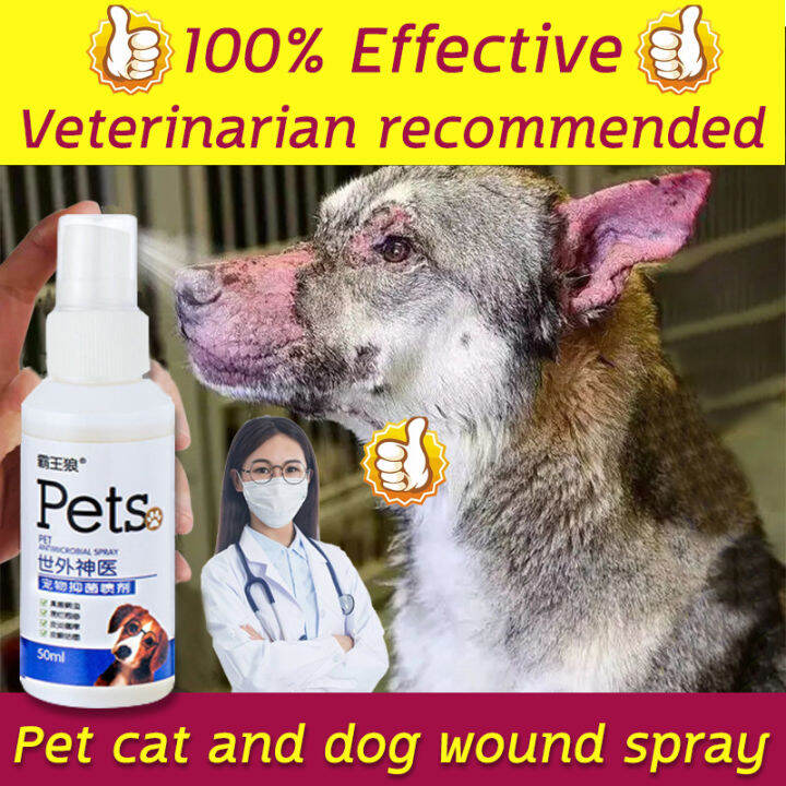 😻Nontoxic, can be licked💯pet skin treatment spray Anti mange for dogs