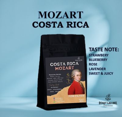 Roast.Lab.BKK เมล็ดกาแฟ Costa Rica Mozart (Canet Musician Series) เมล็ดกาแฟคอสตาริก้าโมสาท