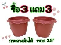 โปรซื้อ 3 แถม 3 กระถางดอกไม้ ขนาด 3.5 นิ้ว กระถางพลาสติก กระถางต้นไม้ กระถางแคคตัส กระถางกระบองเพชร