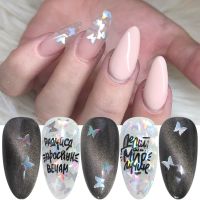 Full Beauty 12 GridSet 3D Butterfly Holographic Nail Sequins Flakes Sparkly Slices Glitter DIY Polish Manicure Nails Art Accessories