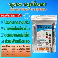 ผงจุลธาตุคีเลตรวม EDTA chelate ธาตุอาหารรอง+เสริม (สีเขียว) เสริมสร้างการเจริญเติบโตของพืช ใบเขียวเข้ม บำรุงผล ขนาด 1 กก.