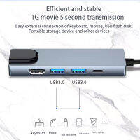 5-In-1 Type-C Hub Docking Station เป็น Hd-mi 100 Gigabit อินเตอร์เฟซเครือข่าย2USB2.0 PD เปรียบเทียบวิดีโอแปลง Hub