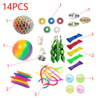 141516pcs Fidget Toys Sensory Toy Set Anti stress Toys Stress Relief Toys Set Simpl Dimmer Antistress Toys For Children Adults