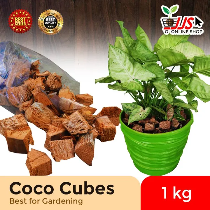 🛒 JJS Store 1 kg Coco Cubes for plants Coconut husk chopped into