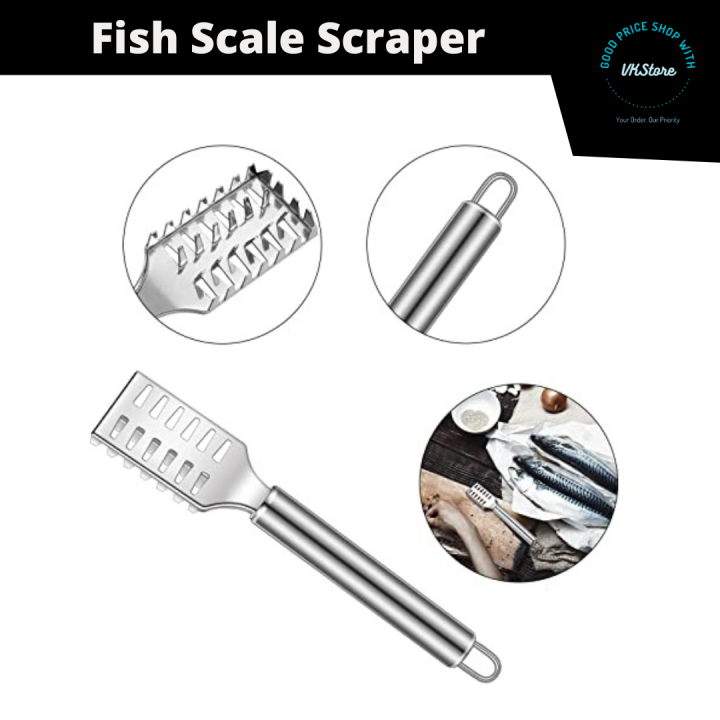 Stainless steel Fish scale graters scraper/ fish scale remover/alat