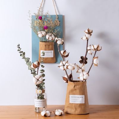 Dried flowers Natural cotton flowers decoration dried dry flower Decorations for home farmhouse decor Filler Floral Decor