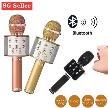 Microphone Wireless & Mini Karaoke Microphone & WiFi Microphone Speaker -  China Bluetooth Microphone and Karaoke Microphone price