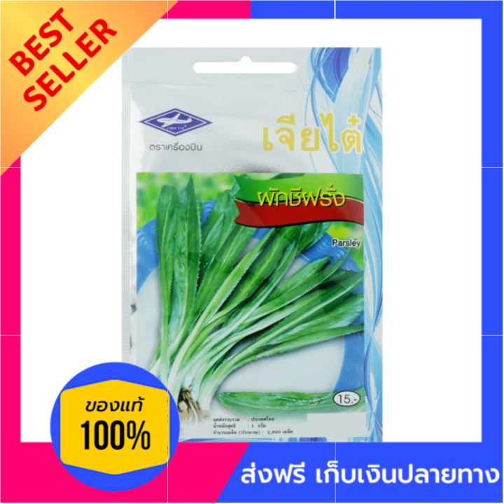 chiatai-เมล็ดพันธุ์ผักชีฝรั่ง-ด่วน-ของมีจำนวนจำกัด