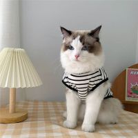 Spring Cat Clothes Pet Clothing for Small Cats Dogs Cat Costumes Soft Kitten Kitty Coat Jacket Puppy Clothes Outfit Mascotas