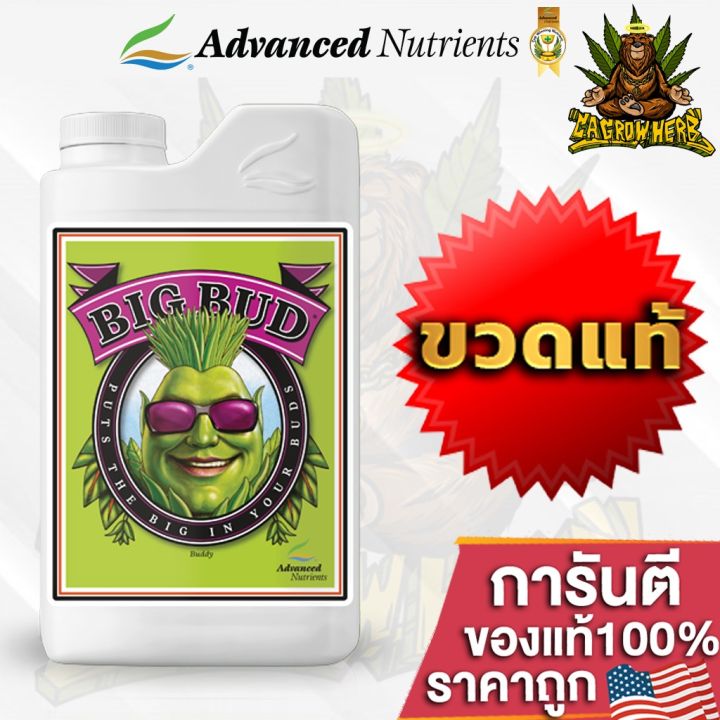 big-bud-ปุ๋ยadvanced-nutrients-ปุ๋ยเร่งดอกใหญ่-เพิ่มน้ำหนักดอกและผลผลิต-ขนาด-1l-ขวดแท้โรงงาน