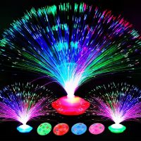 Colorful Flashing LED Fiber Optic Lights Lanterns Starry Sky Lamps Holiday Atmosphere Light Glowing Night Lamp For Home Decor Night Lights