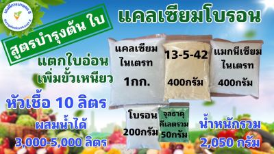 แคลเซียมโบรอน สูตรบำรุงต้น บำรุงใบ ขยายผล หัวเชื้อ 10 ลิตร ให้ผลไม้มีรสชาติดี ขั้วเหนียว