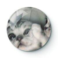 CAT MEME 015 Buttons Brooches Pin Jewelry Accessory Customize Brooch Fashion Lapel Badges Fashion Brooches Pins