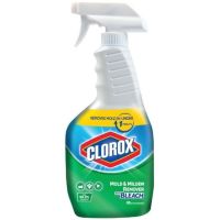 Clorox สเปรย์ฆ่าเชื้อ 99.9% ขนาด 500 มล.